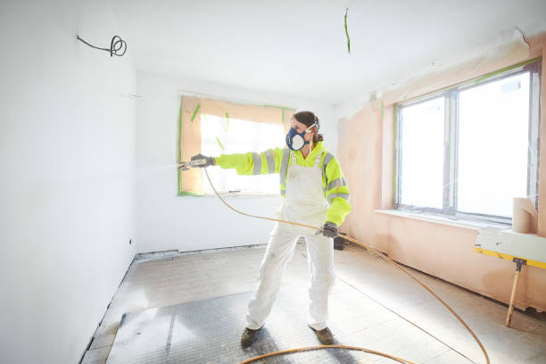 Mold Documentation for Insurance Claims in Brinkley, AR
