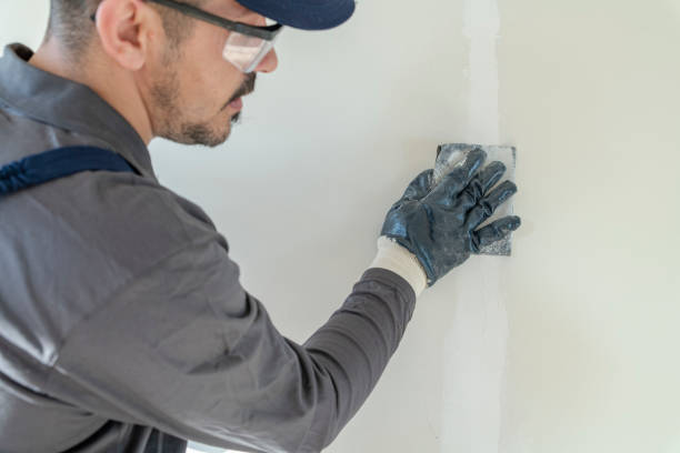 Best Airborne Mold Testing  in Brinkley, AR