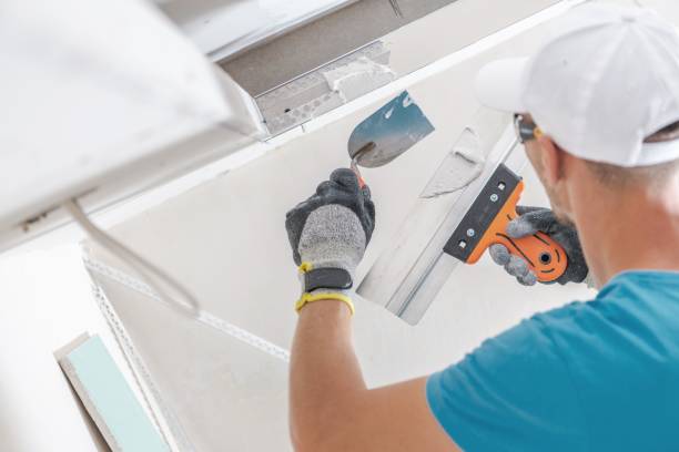 Best HVAC Mold Inspection and Cleaning  in Brinkley, AR